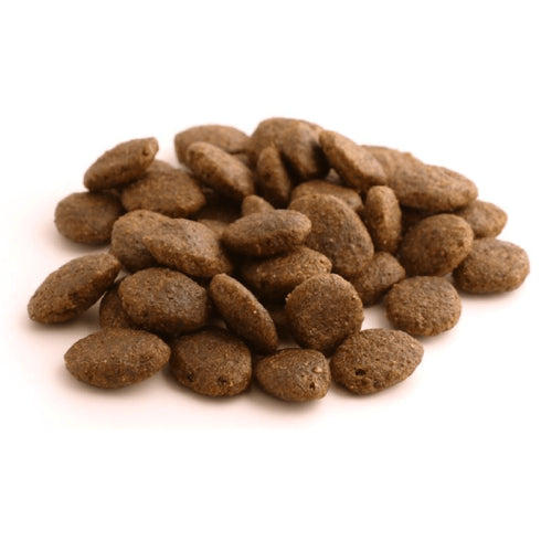Hrana uscata pentru caini Fish4Dogs Finest Adult Large Somon&Cartof 1.5kg